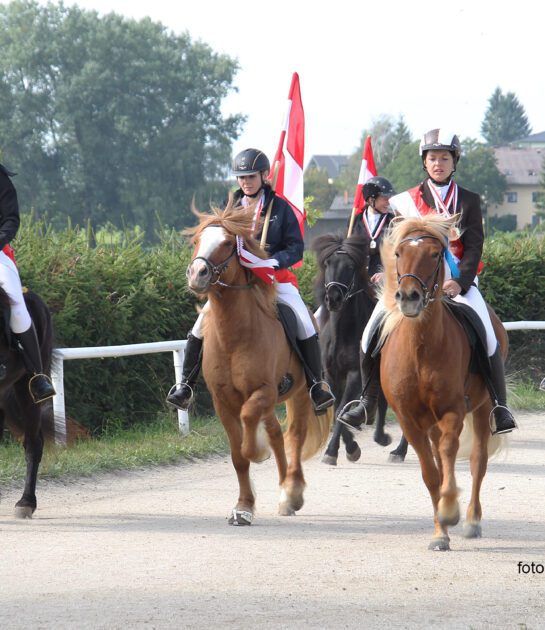 Reiterhof Burghauser Straßwalchen©Foto-Schachermaier