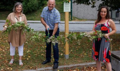 Nature Texts Trail Henndorf