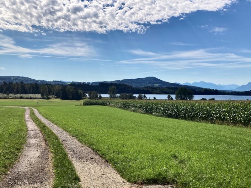 Grabensee Rundweg