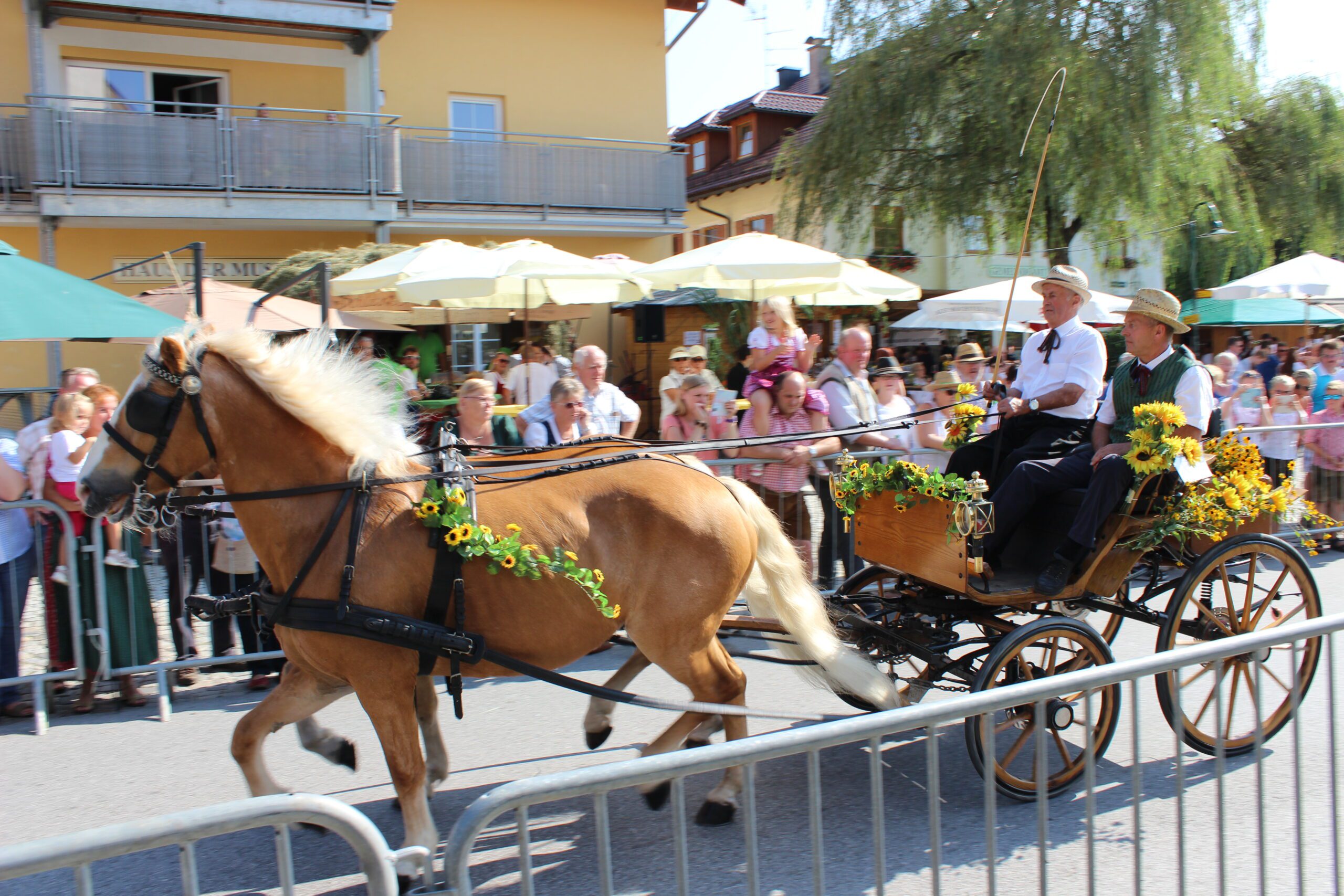 Horse-drawn carriage gala