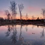 Köstendorf_Wenger Moor ©Matzelsberger