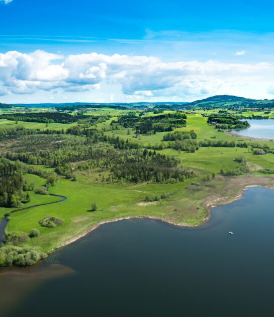 Naturschutzgebiet Wenger Moor Wallersee (c) Stefan Schwab