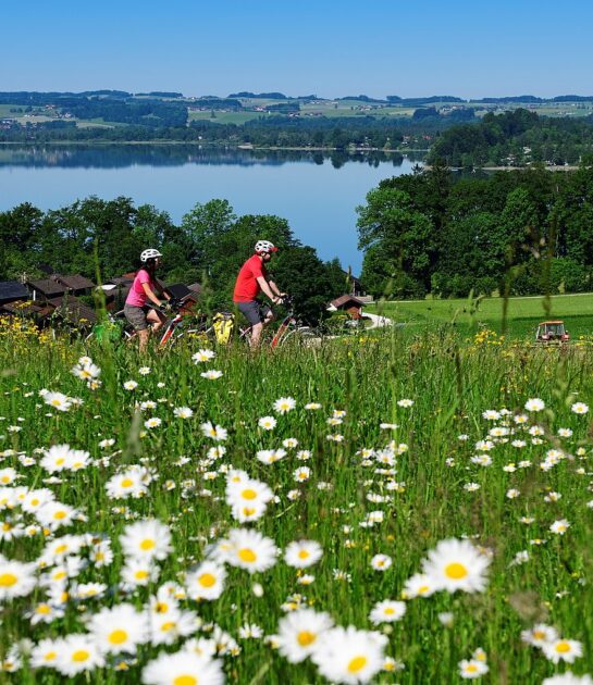 Cycling holiday in Salzburg Seenland_Velodrom