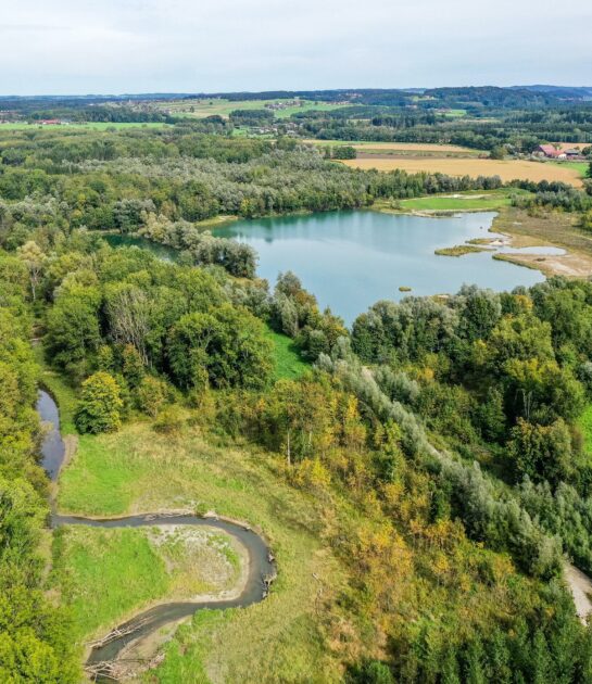 The renaturalised Weitwörther Au © Land Salzburg_Revital.