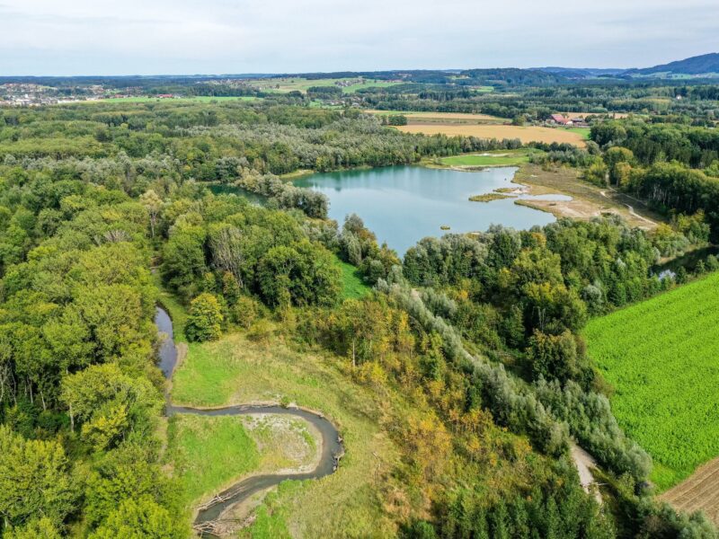 The renaturalised Weitwörther Au © Land Salzburg_Revital.