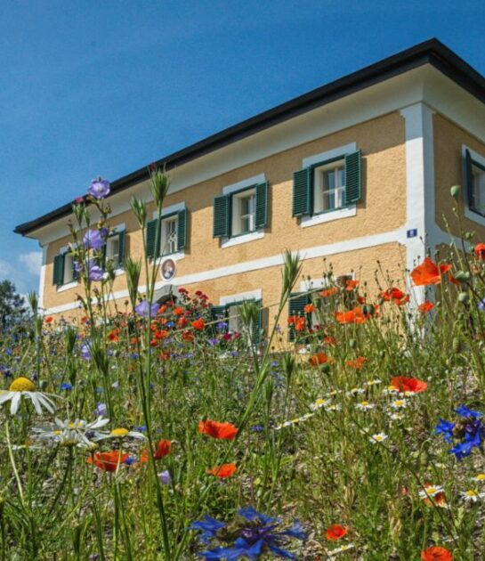 Gemeindeamt Seeham mit Blumenwiese (c) Hans Ziller