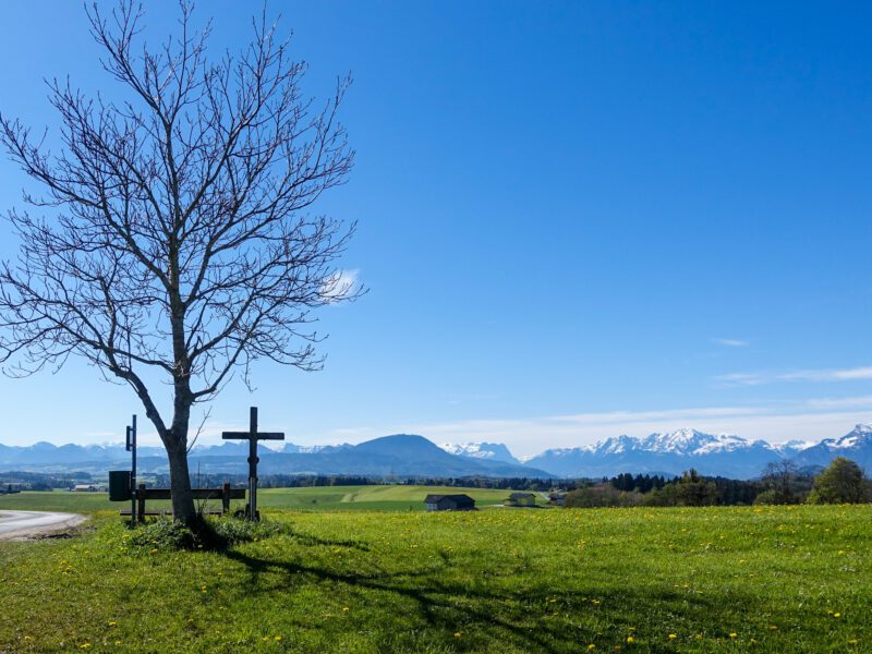 Haunsberg_20170506_095110(C)TVB Obertrum