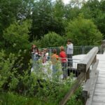 Naturerlebnisweg_Seekirchen (C)TVBSeekirchen