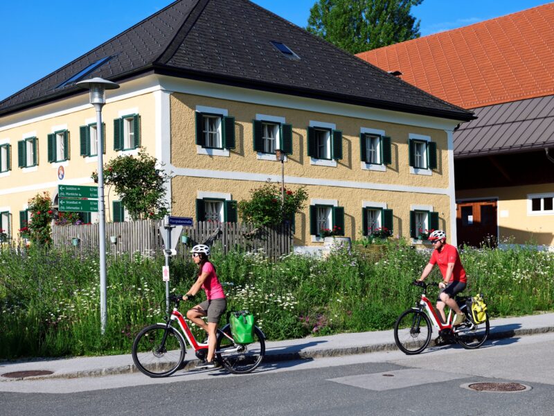 SalzburgerSeenland_Velodrom_NEumarkt (C)N.Eisele-Hein