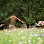 SalzburgerSeenland_Neumarkt_Dichtlalm (C)A.Braunstein