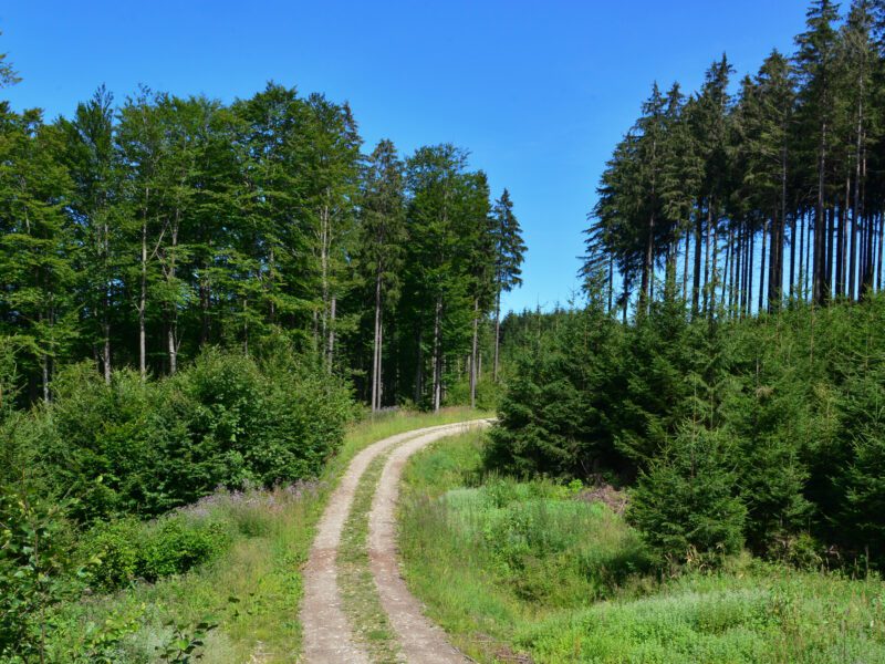 SalzburgerSeenland_Obertrum_Panoramaweg_Haunsberg (17)