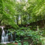 SalzburgerSeenland_Seeham_(C)AlexanderLohmann-kl (42)