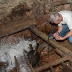 SalzburgerSeenland_Seeham_Kugelmühle_(C)AlexanderLohmann (50)