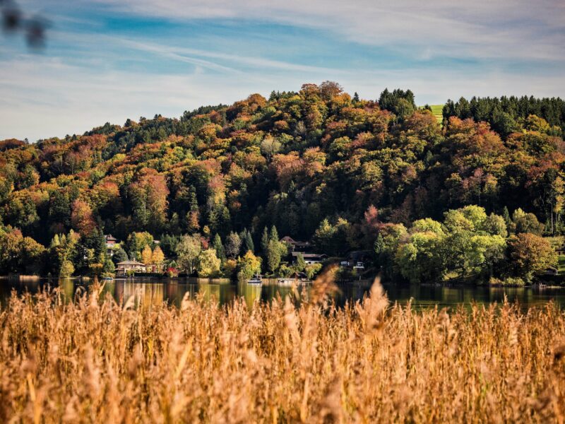 SalzburgSeenland_Wallersee_Autumn1(C)HeikoMandl