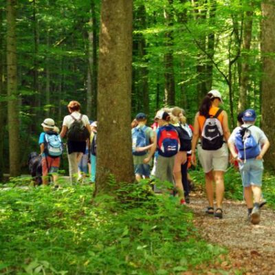 Teufelsgraben Kinder wandern ©Hans Ziller