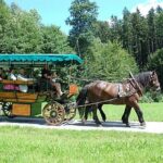 Carriage ride ©Hochroider