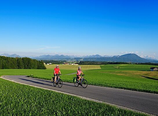 Cycle path to the Haunsberg ©N. Eisele-Hein