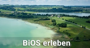 Experience BiOS