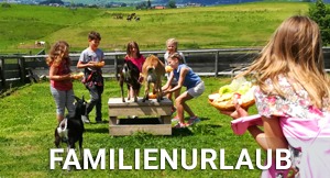 Family Holiday in Salzburg Seenland