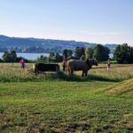 Football_golf_(C)Haberl (3)