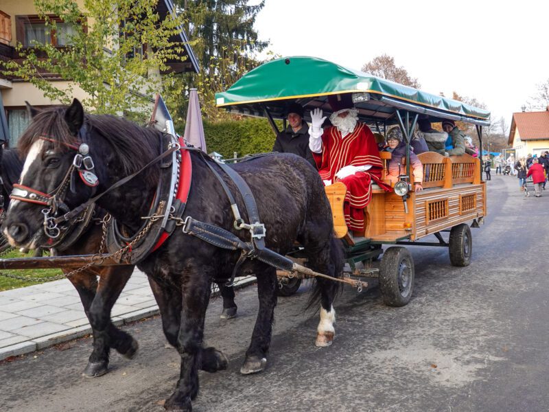 Pferdekutschenfahrt mit dem Nikolaus am Barbaramarkt in Obertrum am See (c) Tourismusverband Obertrum am See
