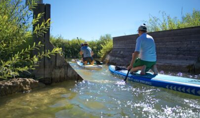 Exploring the Fischach with a SUP