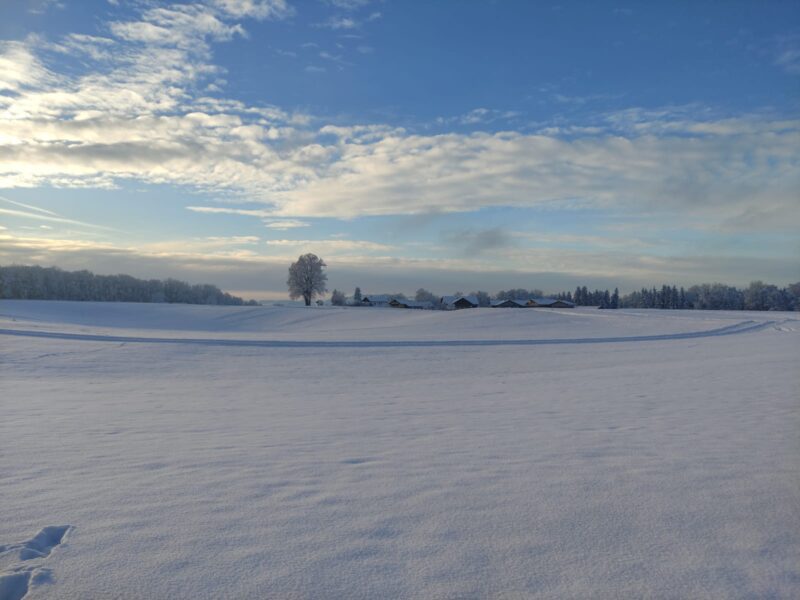 Cross-country ski trail Henndorf © Stütz