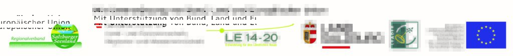 LEADER-Logo 2023