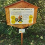 Information board at the bee nature trail in Seekirchen (c)TVB Seekirchen