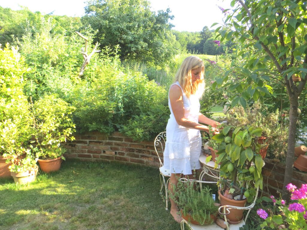 ©Traumgarten Tannberg