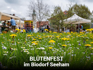 Blütenfest im Seeham
